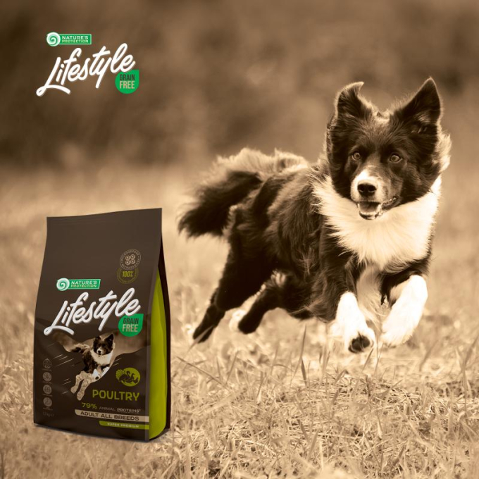 Grain and poultry outlet free dog food